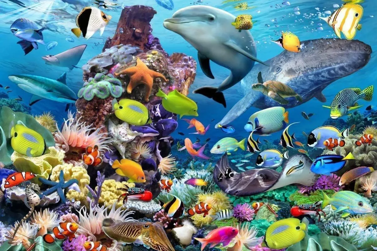 1000 Pieces Jigsaw Puzzle for Adults, Ocean Animal Colorful Fish Wooden Jigsaw Puzzle, Exercise Memory Relieve Stress Game Jigsaw Puzzle Family Activities Decompression Gifts