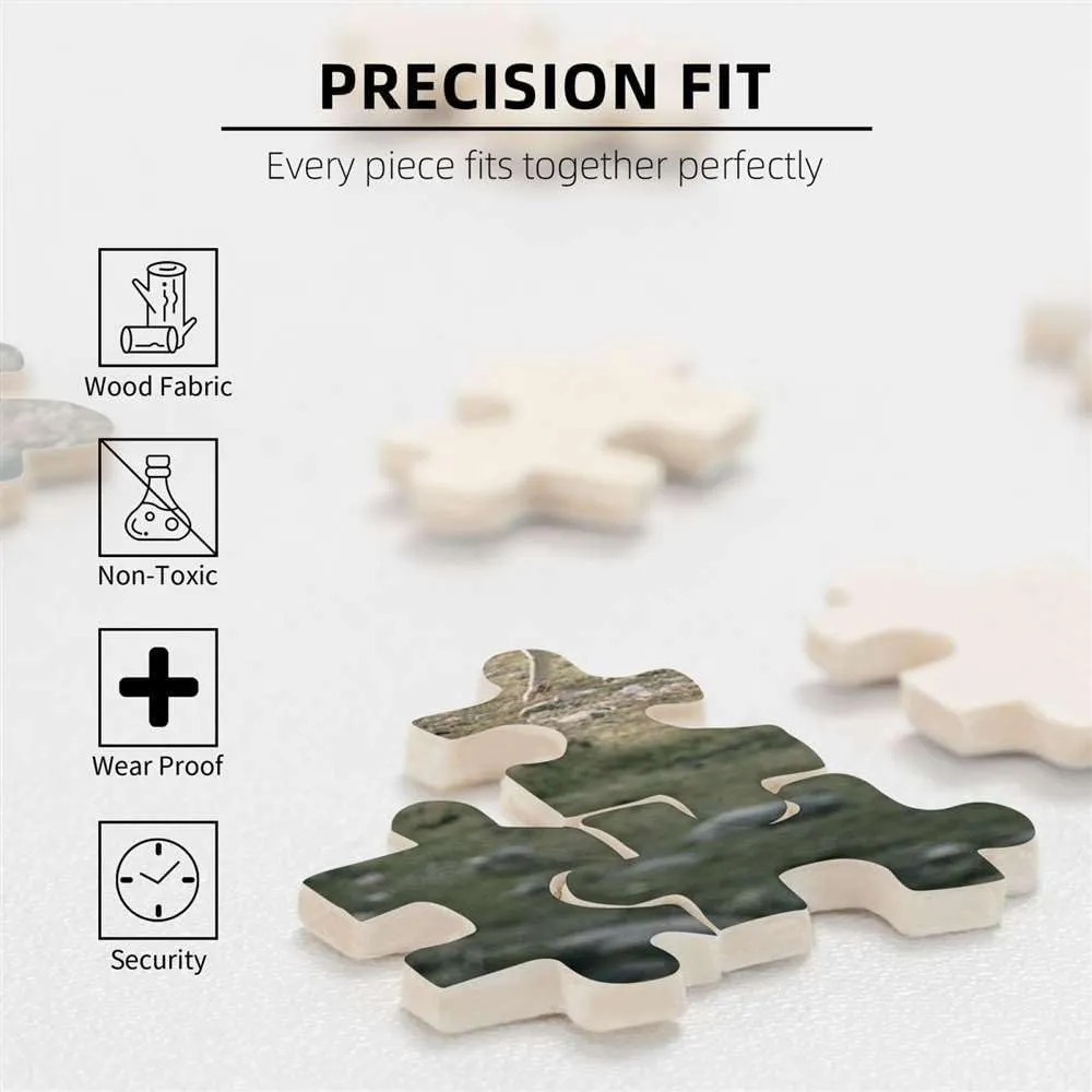 500 Piece Wooden Jigsaw Puzzle Middle Ages Village, Houses and Cars Wooden Jigsaw Puzzles Challenging Educational Fun Interactive Toys for Family Creative Gift