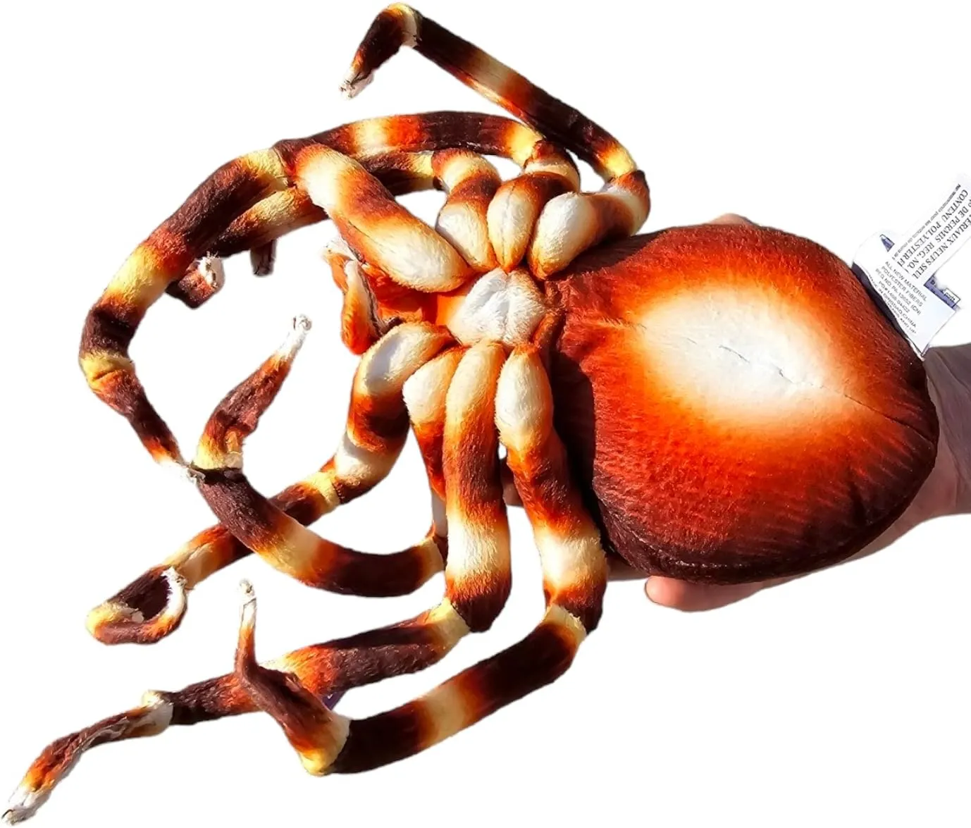 8" Spider Plush Toy (Blue, Brown Orb-Weaver or Tarantulas) Soft Cozy Plush Pillow for Cuddling and Decor - Not Scary