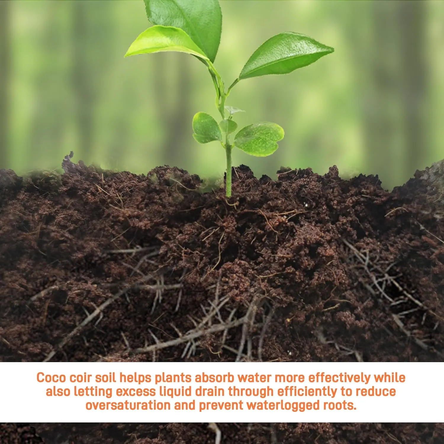 9-Pack Premium Organic Coco Coir Bricks for Plants - Low EC & pH Balance - 100% Natural Peat Moss Mix with Coconut Husk Fiber - Perfect for Gardening, Potting Soil Substrate - 12.6 lbs