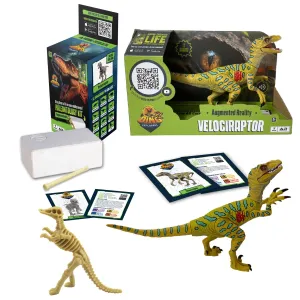 AR Dinosaur XL & Brick Combo - Velociraptor - 10" Articulated Sound Toy Figure & Paleontology Dig Kit, Augmented Reality Set, Kids 3 