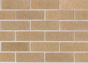 Austral Bricks Everyday Life Escape 230x110x76mm (Packs of 520 Only)