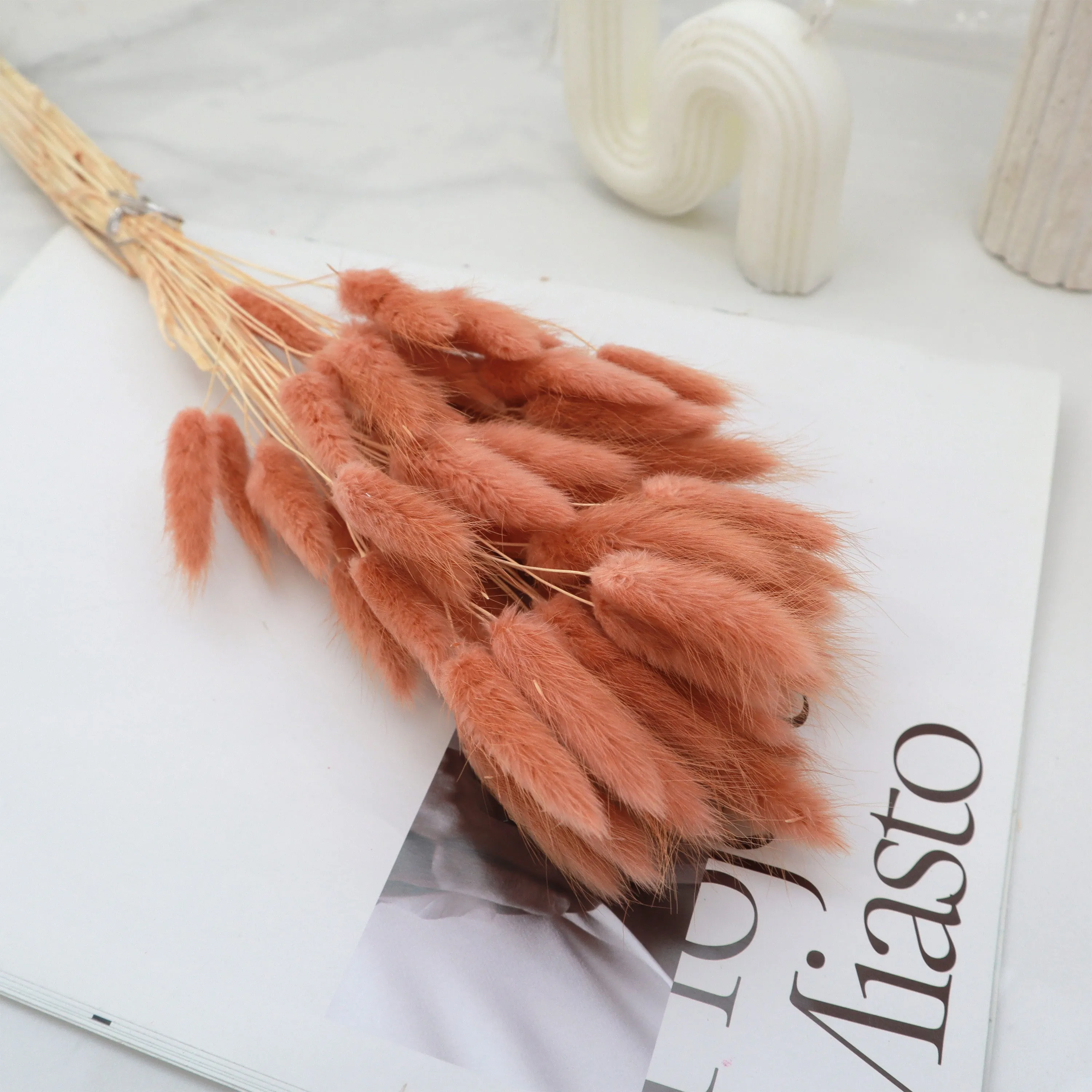 Bunny Tails Apricot