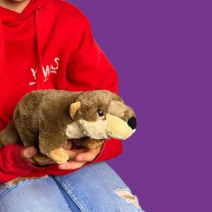 Deluxe Paws 100% Recycled Plush Eco Toys (Otter)