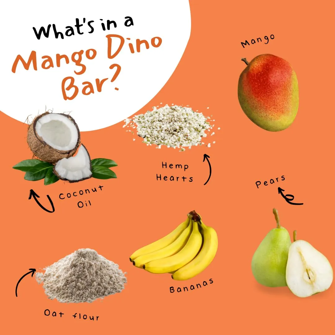 Dino Bars | Organic Fruit Bar for Kids | Organic Toddler Bars and Dinosaur Snacks | Fruit   Oats   Hemp Hearts   Coconut Oil with Edible Paper | Blueberry   Strawberry   Mango Kids Bar | Age 1  | Variety 9 Pack