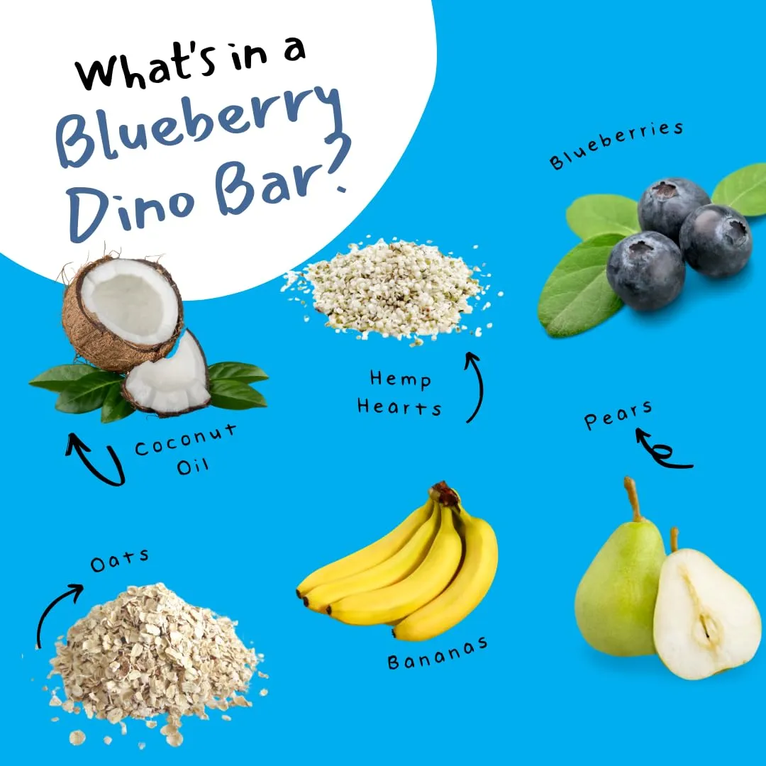 Dino Bars | Organic Fruit Bar for Kids | Organic Toddler Bars and Dinosaur Snacks | Fruit   Oats   Hemp Hearts   Coconut Oil with Edible Paper | Blueberry   Strawberry   Mango Kids Bar | Age 1  | Variety 9 Pack