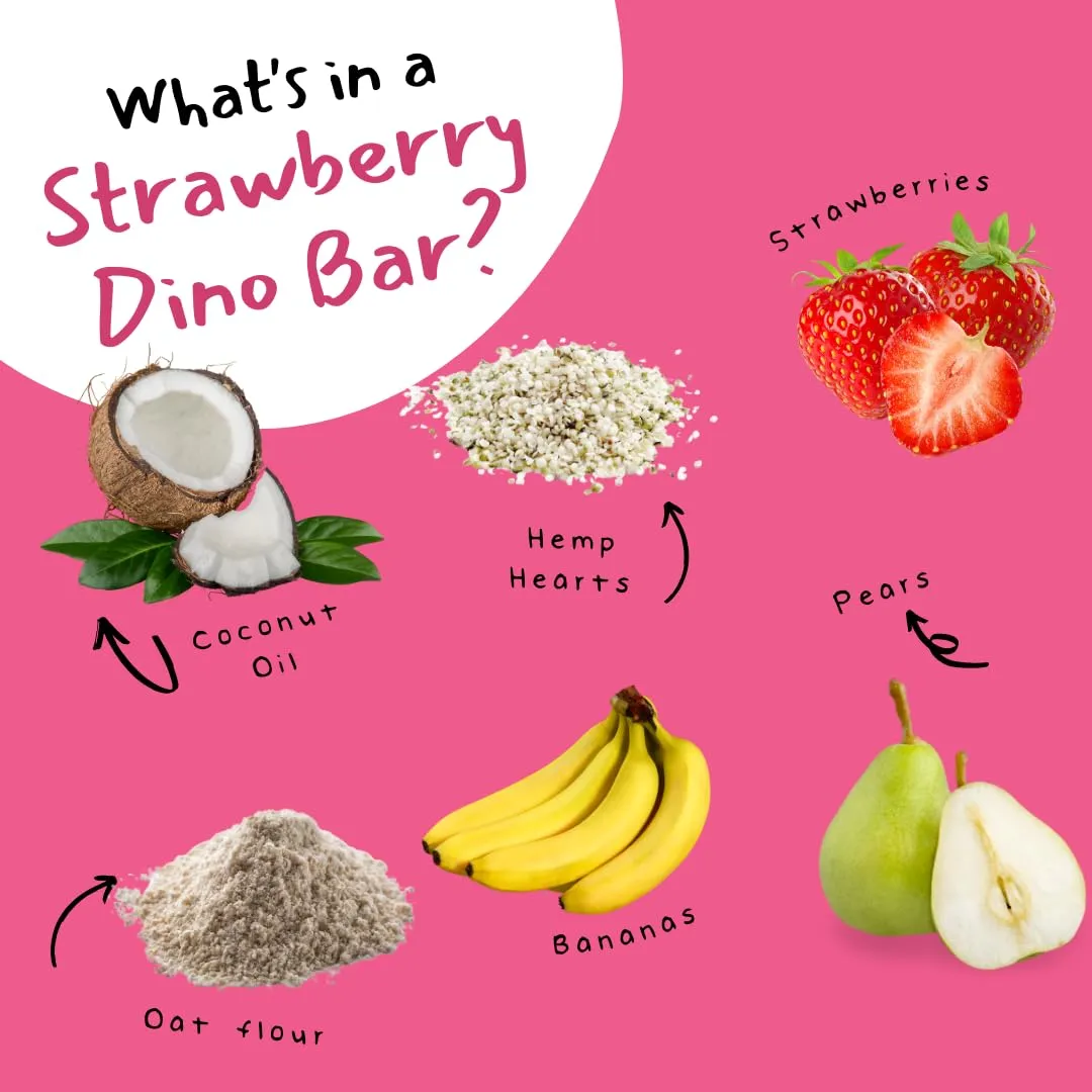 Dino Bars | Organic Fruit Bar for Kids | Organic Toddler Bars and Dinosaur Snacks | Fruit   Oats   Hemp Hearts   Coconut Oil with Edible Paper | Blueberry   Strawberry   Mango Kids Bar | Age 1  | Variety 9 Pack