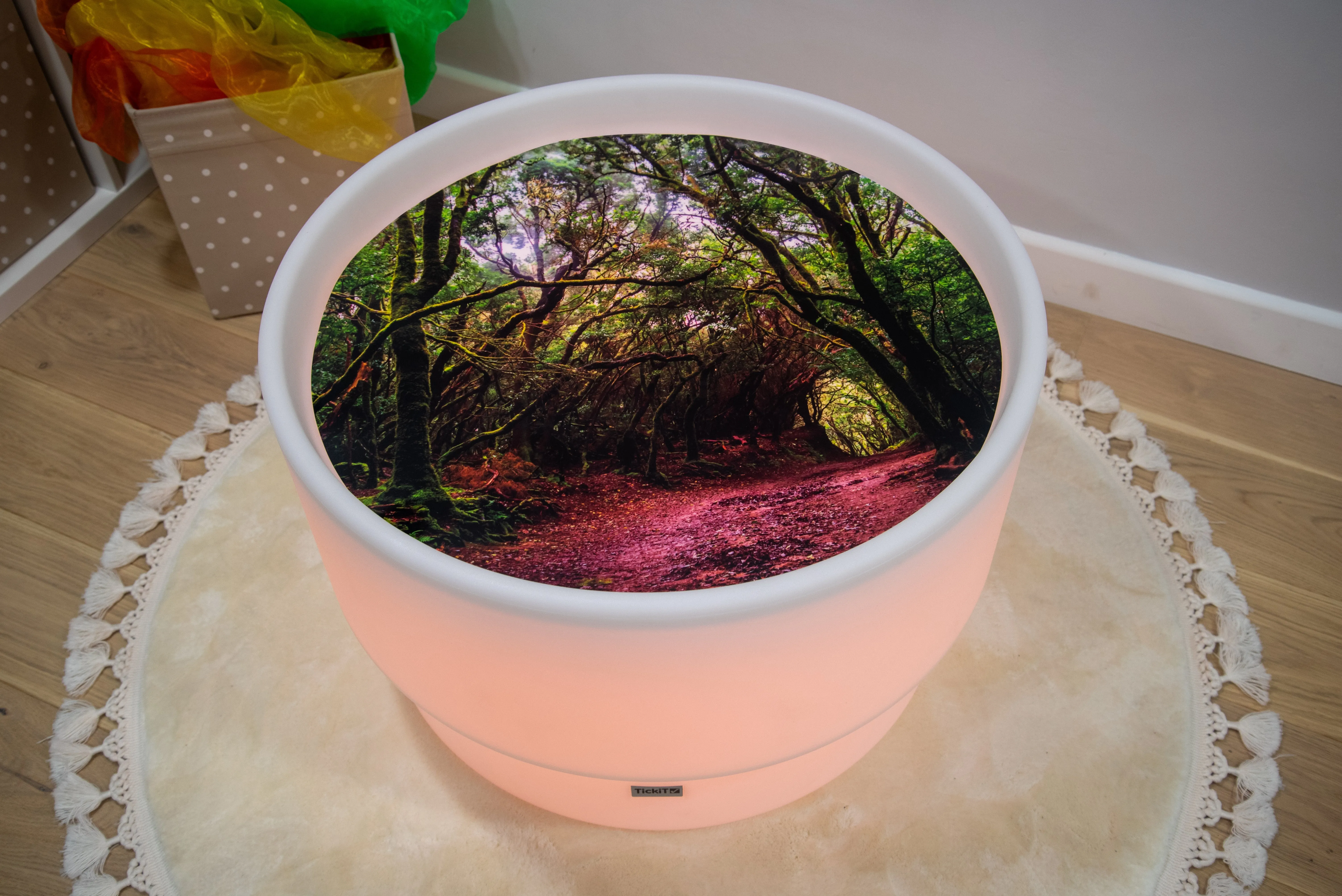 Discovery Jurassic Sensory Bundle
