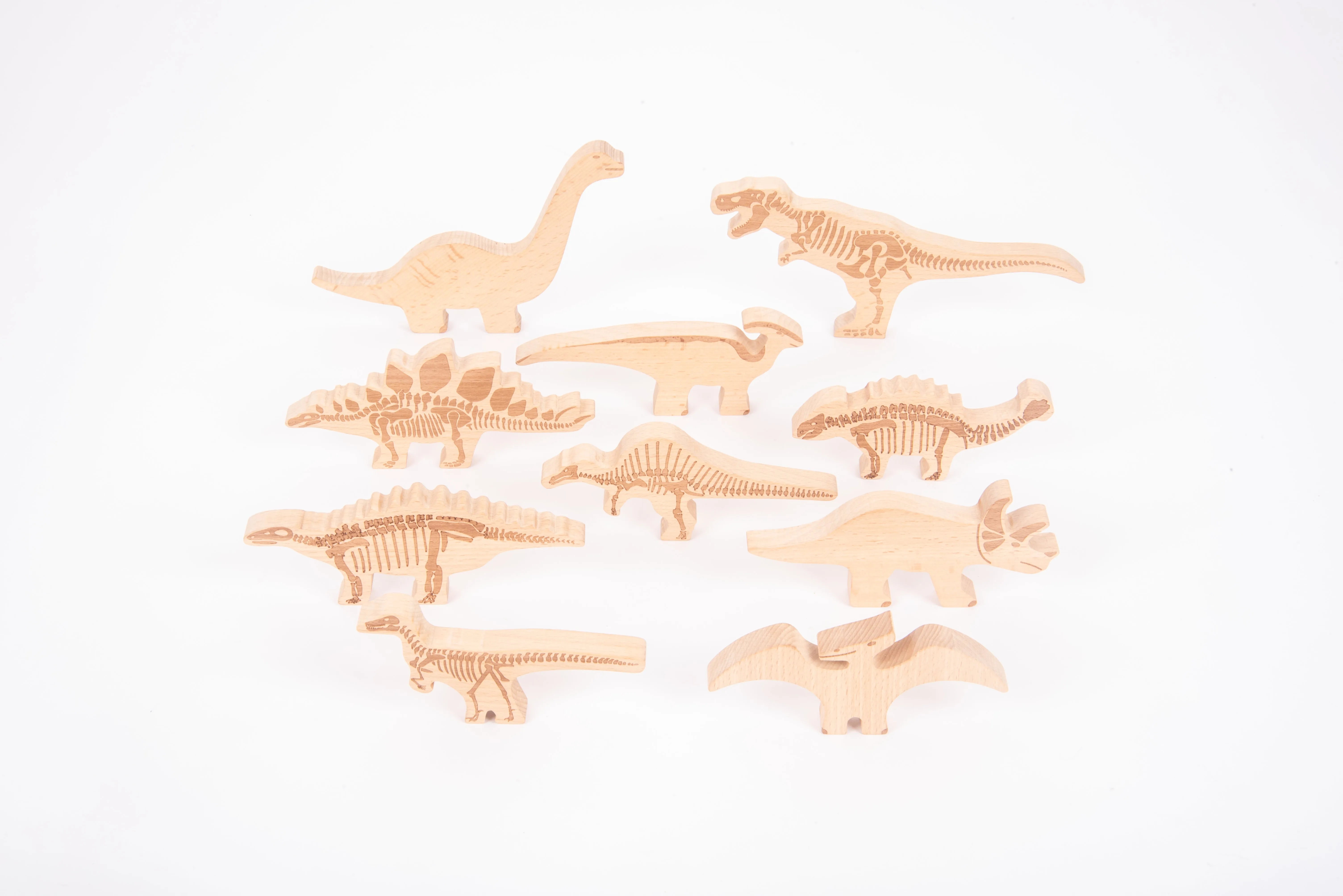 Discovery Jurassic Sensory Bundle