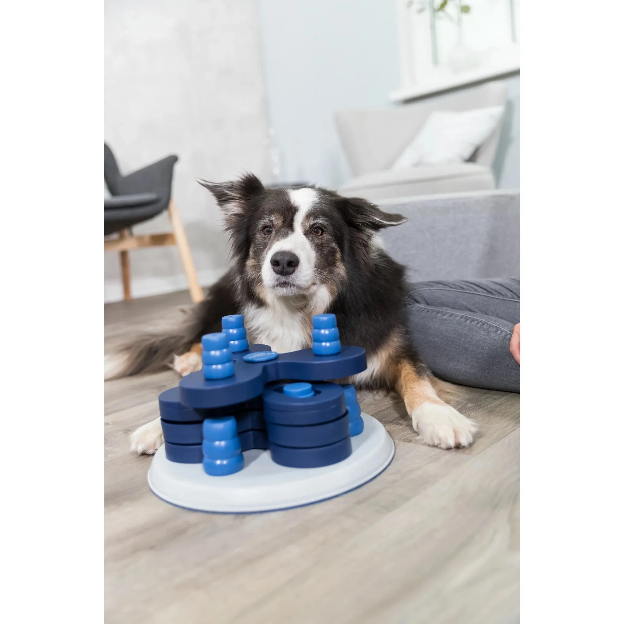 Dog Activity Poker Box 1 Strategy Game, Level 2 Dog Puzzle Toy, Treat Dispenser
