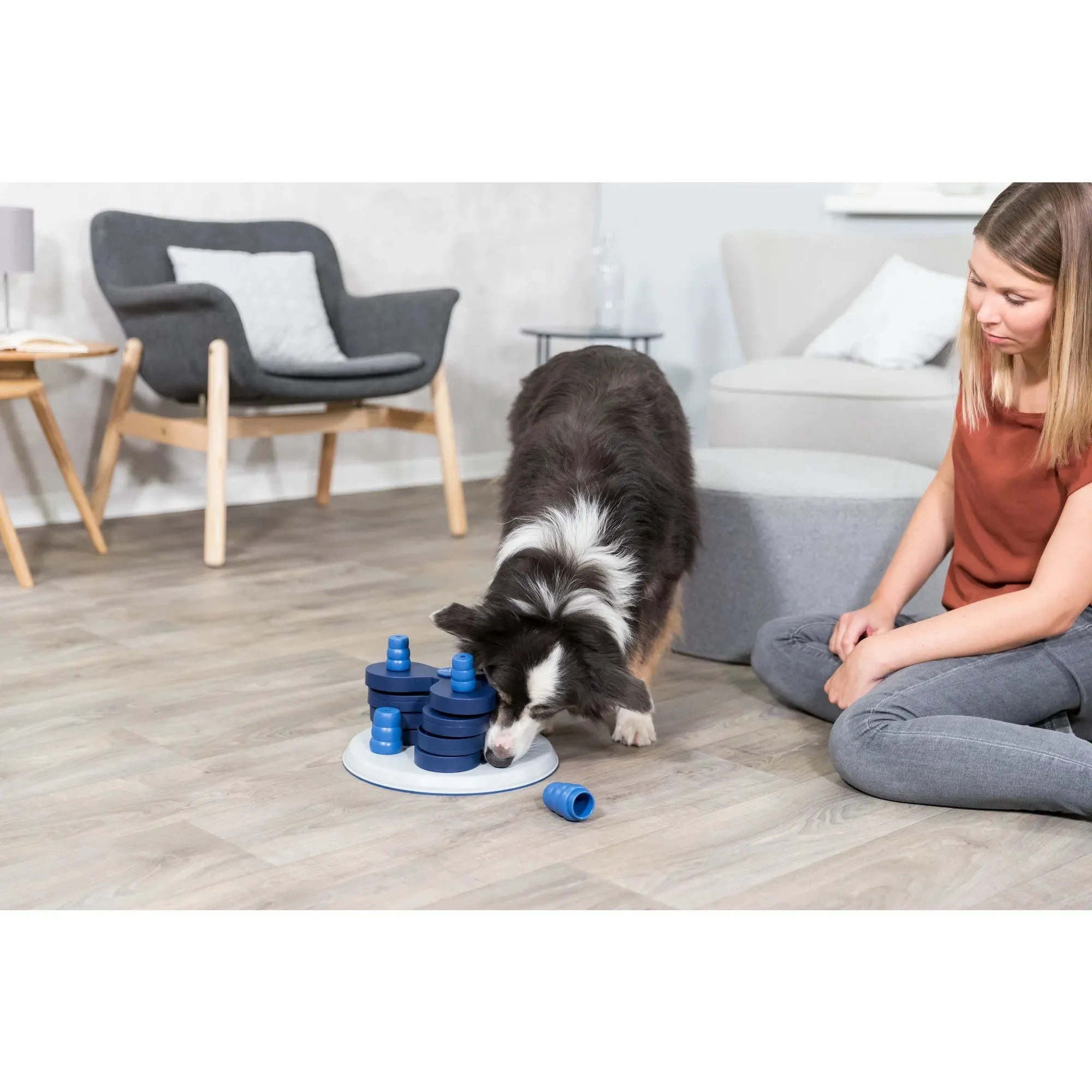 Dog Activity Poker Box 1 Strategy Game, Level 2 Dog Puzzle Toy, Treat Dispenser