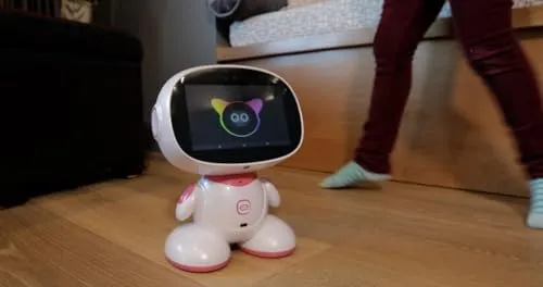 Educational Walking Robot Toy