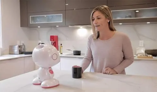 Educational Walking Robot Toy
