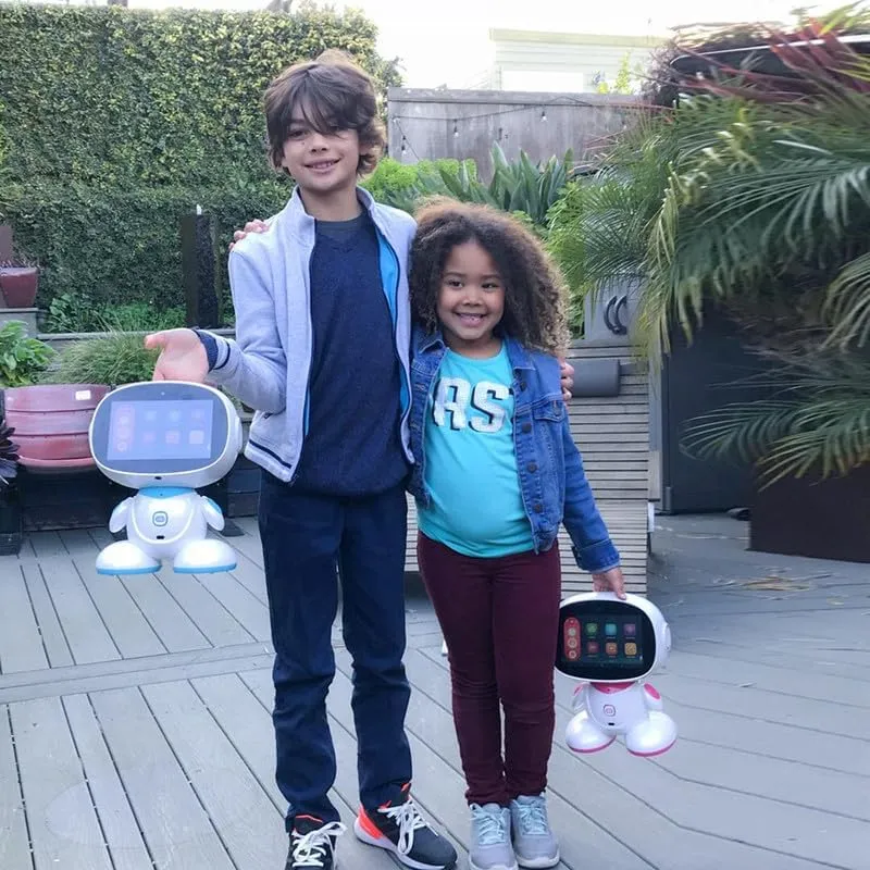 Educational Walking Robot Toy