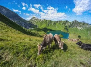 Family Fun Jigsaw Puzzle 1000 Piece Alpine Cows are grazing Beautiful Morning Atmosphere at a Beautiful Interesting Parent-Child Games Family Entertainment Leisure Fun Interactive Wooden