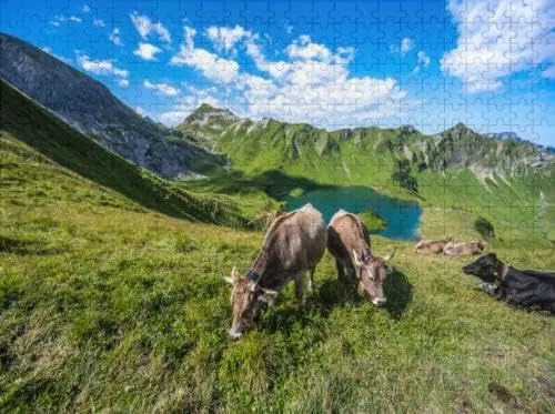 Family Fun Jigsaw Puzzle 1000 Piece Alpine Cows are grazing Beautiful Morning Atmosphere at a Beautiful Interesting Parent-Child Games Family Entertainment Leisure Fun Interactive Wooden