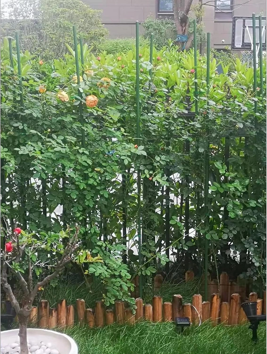 G-LEAF 4Ft Tomato Garden Stakes Cage Plastic Coated Steel Tube Plant Sticks for Tomato,Cucumber,Bean,Tree,Pack of 25
