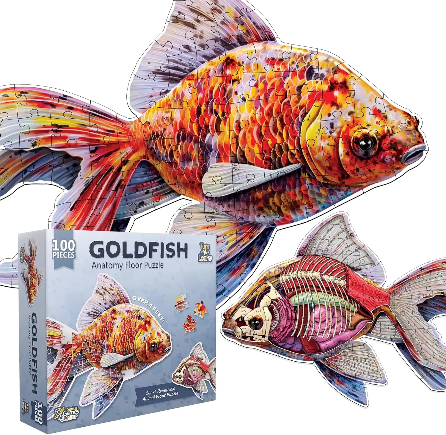 Goldfish Animal Anatomy Floor Puzzle | 100-Piece Double Sided Jigsaw Puzzle | Large-Sized, Over 4 Feet Scientifically Accurate Illustration - Fun and Educational Toy for Kids, Toddlers and Families
