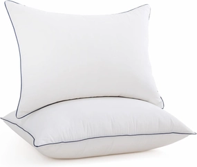 Goose Down Bed Pillow, Queen Size Bed Pillows for Sleeping, Ultra-Soft 750 Fill-Power Hotel Collection Pillow for Back, Stomach or Side Sleepers (20 * 28,Pack of 2)