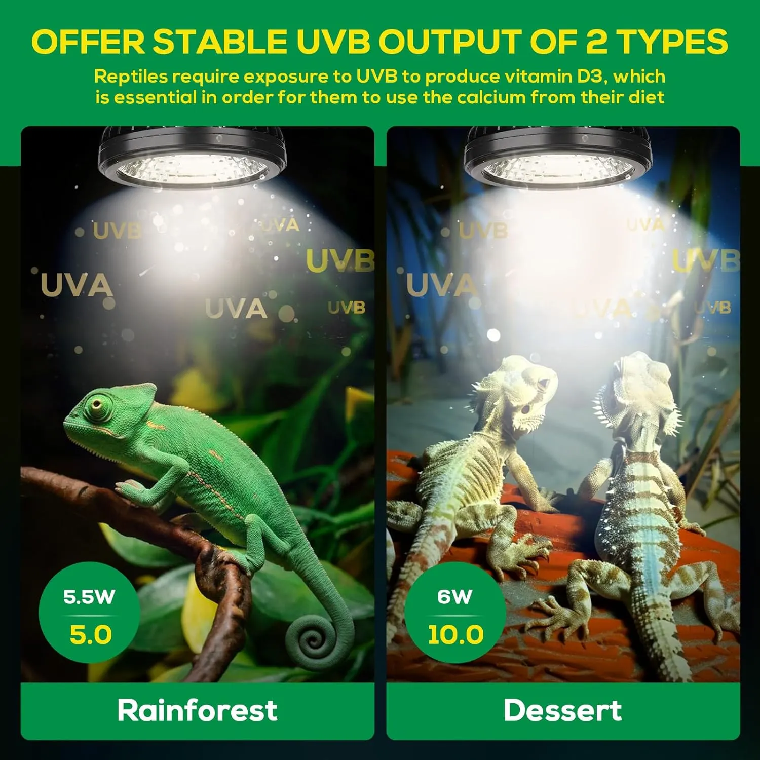 High Intensity UVB Reptile Light Bulb 5.5W 5.0 Full Spectrum UVA UVB for Reptiles simulating Sunlight Promote Synthesis of Vitamin D3 in Reptile Pets for Turtle,Lizard,Bearded Dragon