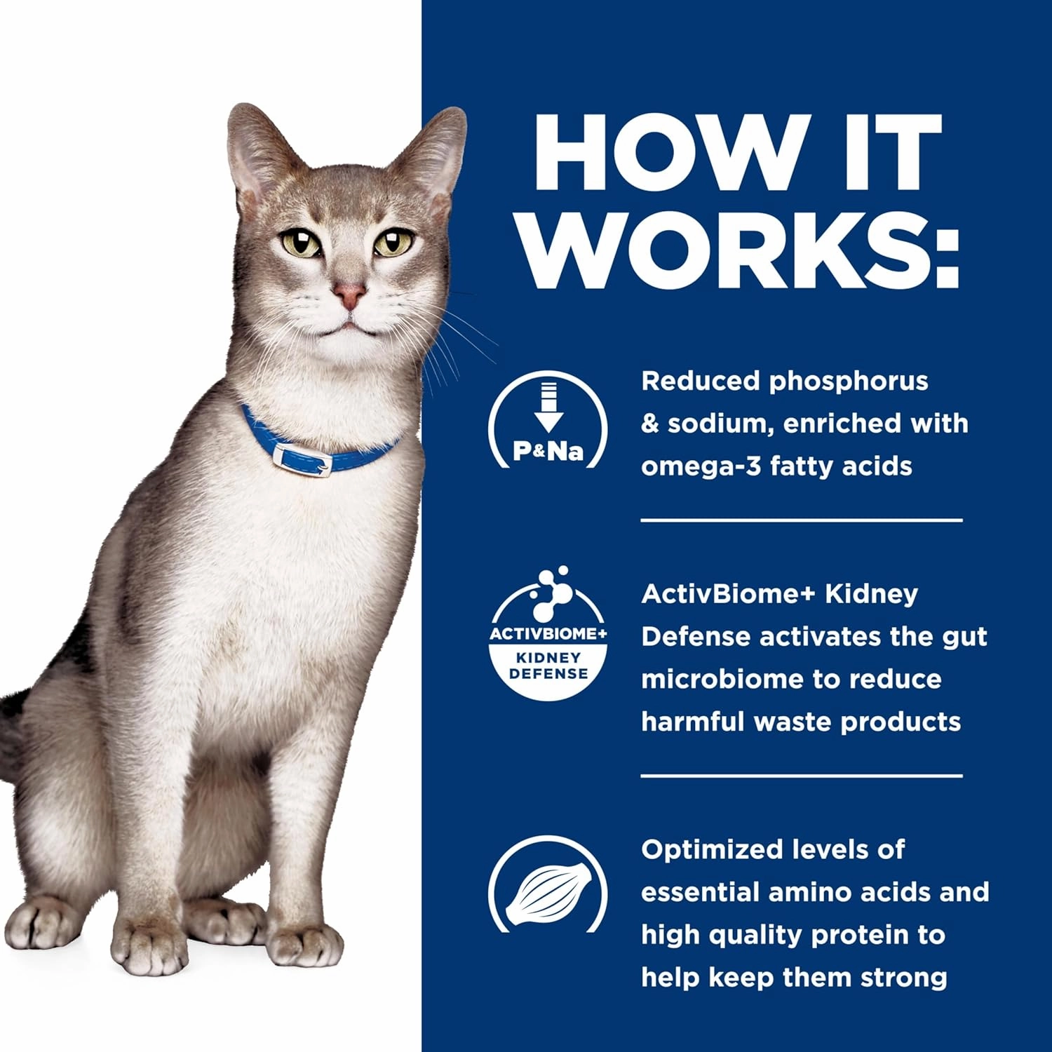 Hill's Prescription Diet k/d Kidney Care Ocean Fish Dry Cat Food, Veterinary Diet, 8.5 lb. Bag