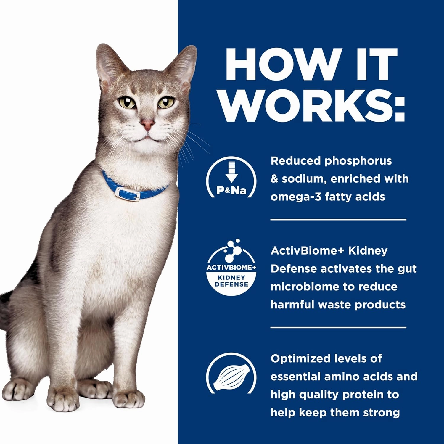 Hill's Prescription Diet k/d Kidney Care with Chicken Dry Cat Food , Veterinary Diet, 4 lb. Bag