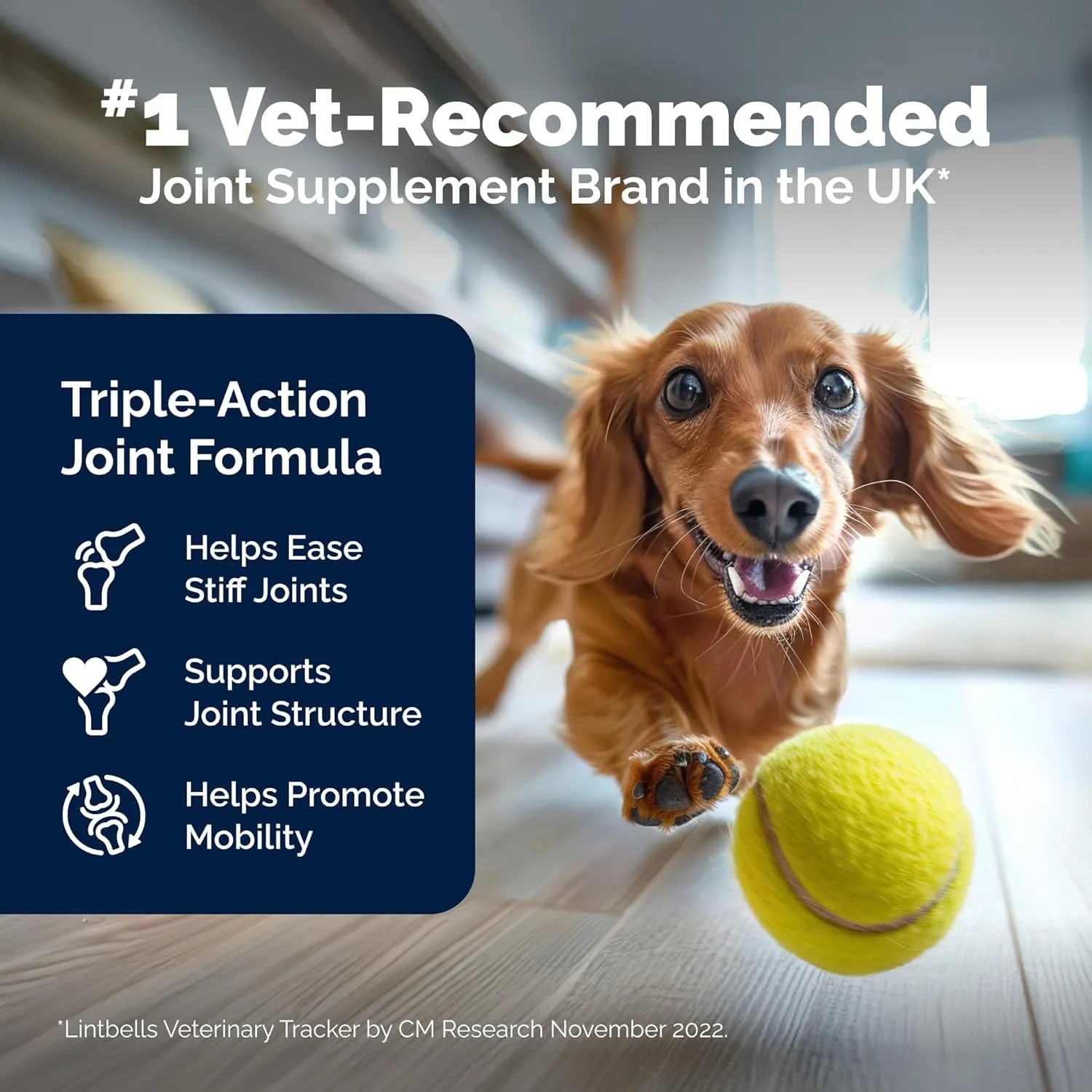 Hip and Joint Supplement for Dogs with Glucosamine Chondroitin, Omega 3, Hyaluronic Acid, & Green Lipped Mussel - Dog Joint Supplement - for Adult Dogs 300 Tasty Chewable Tablets