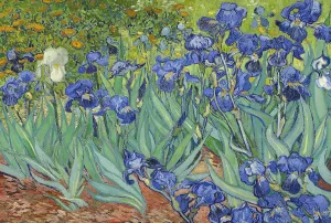 Jigsaw Puzzles for Adults 1000 Piece Irises by Vincent Van Gogh 27.56 x 19.69 Inch Puzzles for Adults Educational Challenge Toy Van Gogh Puzzles 1000 Pieces for Adults