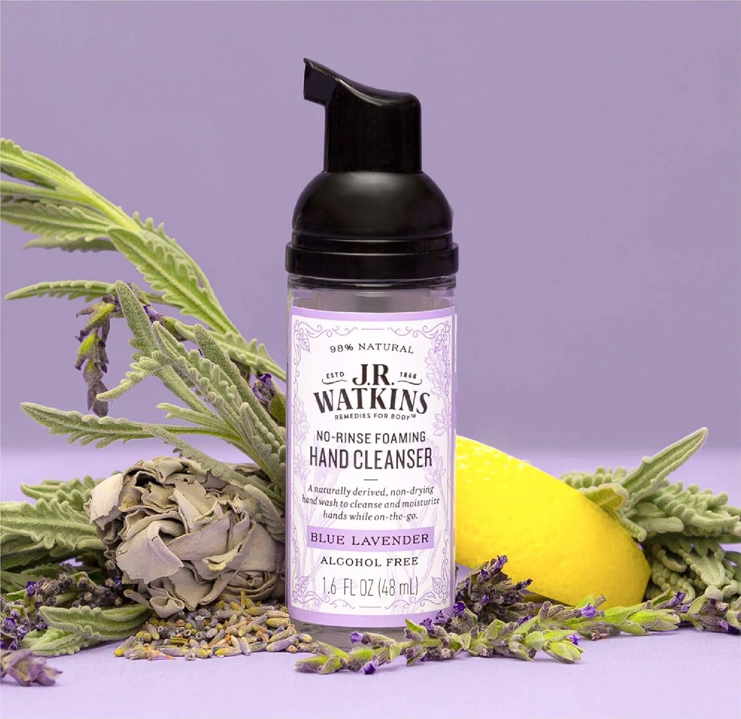 J.R. Watkins No-Rinse Foaming Hand Cleanser – Hand Soap in Pump Dispenser – Bathroom & Kitchen Foam Cleaner – All Natural, Alcohol Free, Blue Lavender, 1.6 fl. Oz., Single