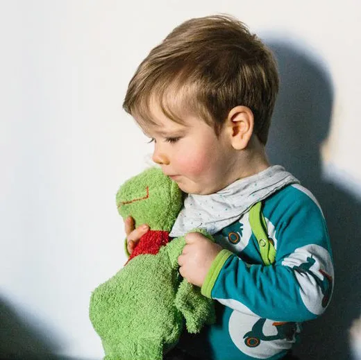 Large Organic Cotton Frog Baby Plush Toy