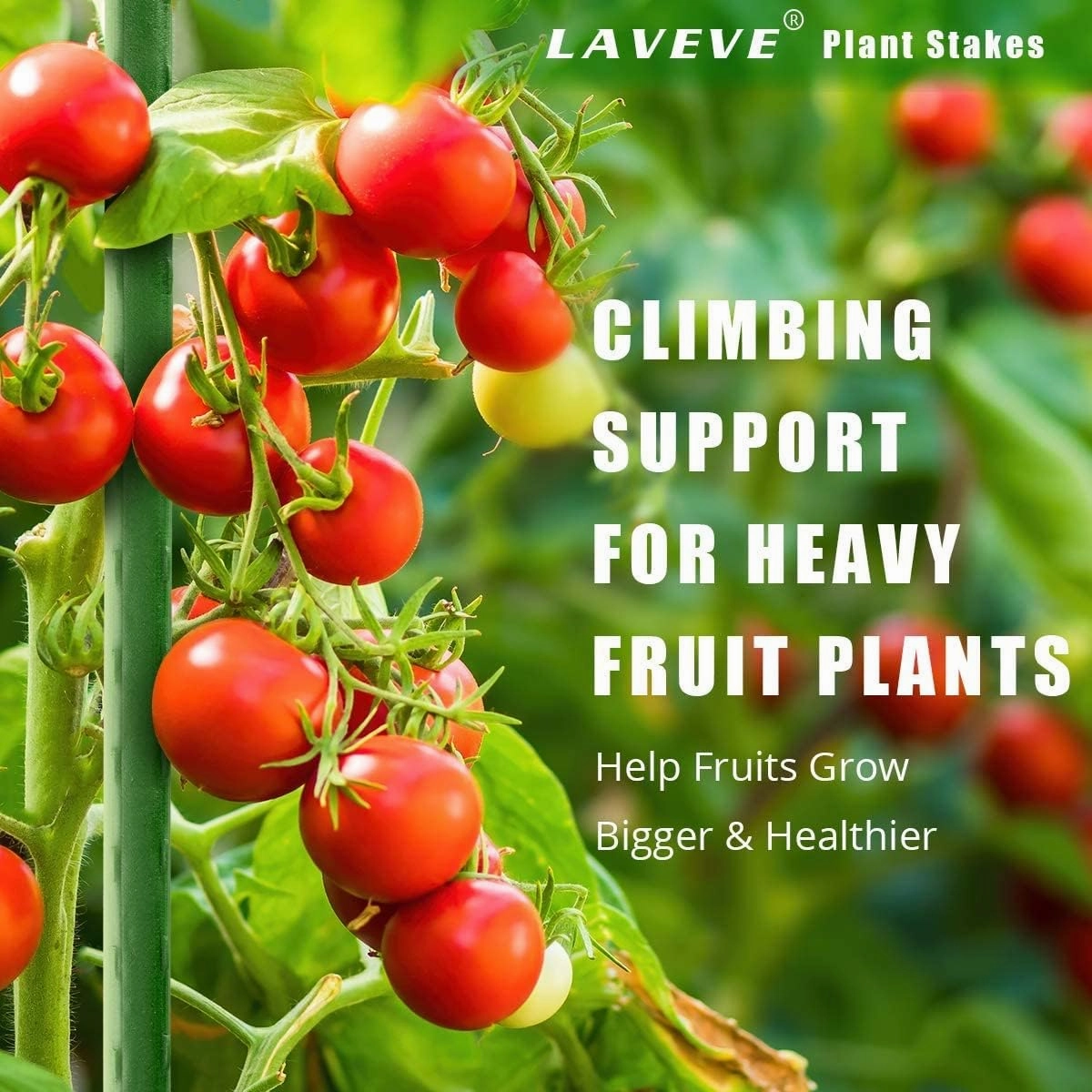 LAVEVE Garden Stakes 58 Inches Heavy Duty Steel Tomato Stake, Plastic Coated Support for Securing Trees, Climbing Plants, Cucumber, Beans, Pack of 40
