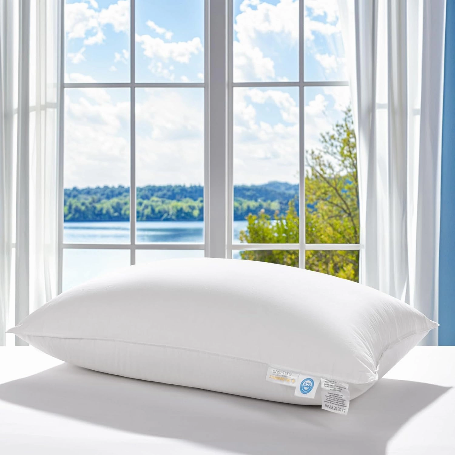 LBRO2M Canada Goose Down Pillow 900 Fill Power 80% Goose Down 20% Goose Feather 100% Cotton Pillowcase Queen Down Pillows Ideal for Plush Comfort and Support (20"X30" Pack of 1)