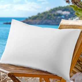 LBRO2M Canada Goose Down Pillow 900 Fill Power 80% Goose Down 20% Goose Feather 100% Cotton Pillowcase Queen Down Pillows Ideal for Plush Comfort and Support (20"X30" Pack of 1)