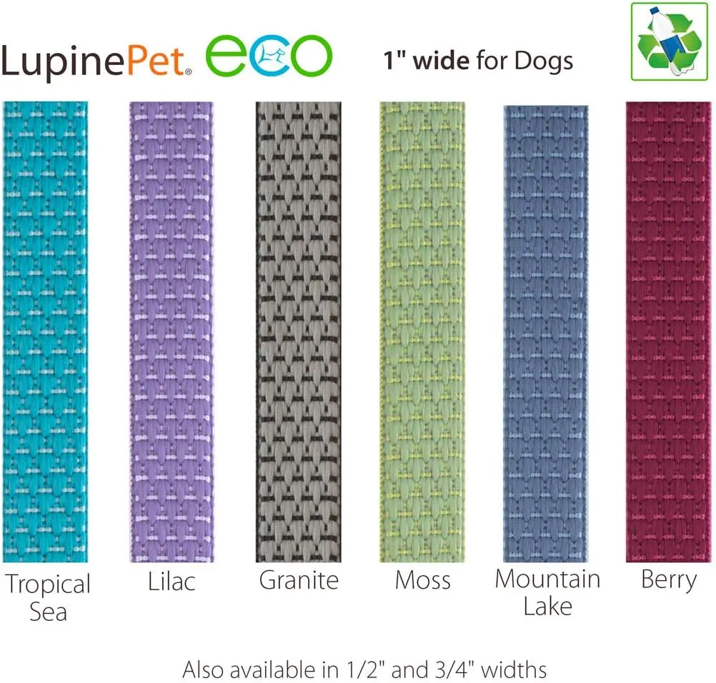 LupinePet Eco 1" Berry 6-foot Padded Handle Leash for Medium and Larger Dogs