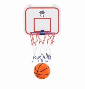 Mini Basketball and Hoop