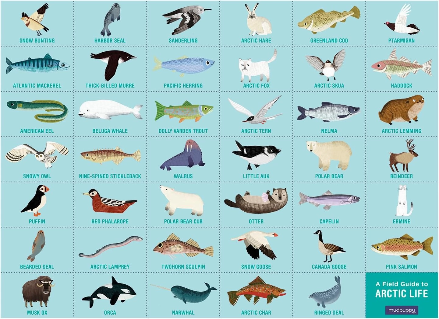 Mudpuppy Arctic Life Search & Find Puzzle, 64 Pieces, 23”x15.5” – For Kids Age 4-7 - Colorful Illustrations of Animals, Fish, Birds Living in the Arctic – Complete Puzzle to Find 40  Hidden Images
