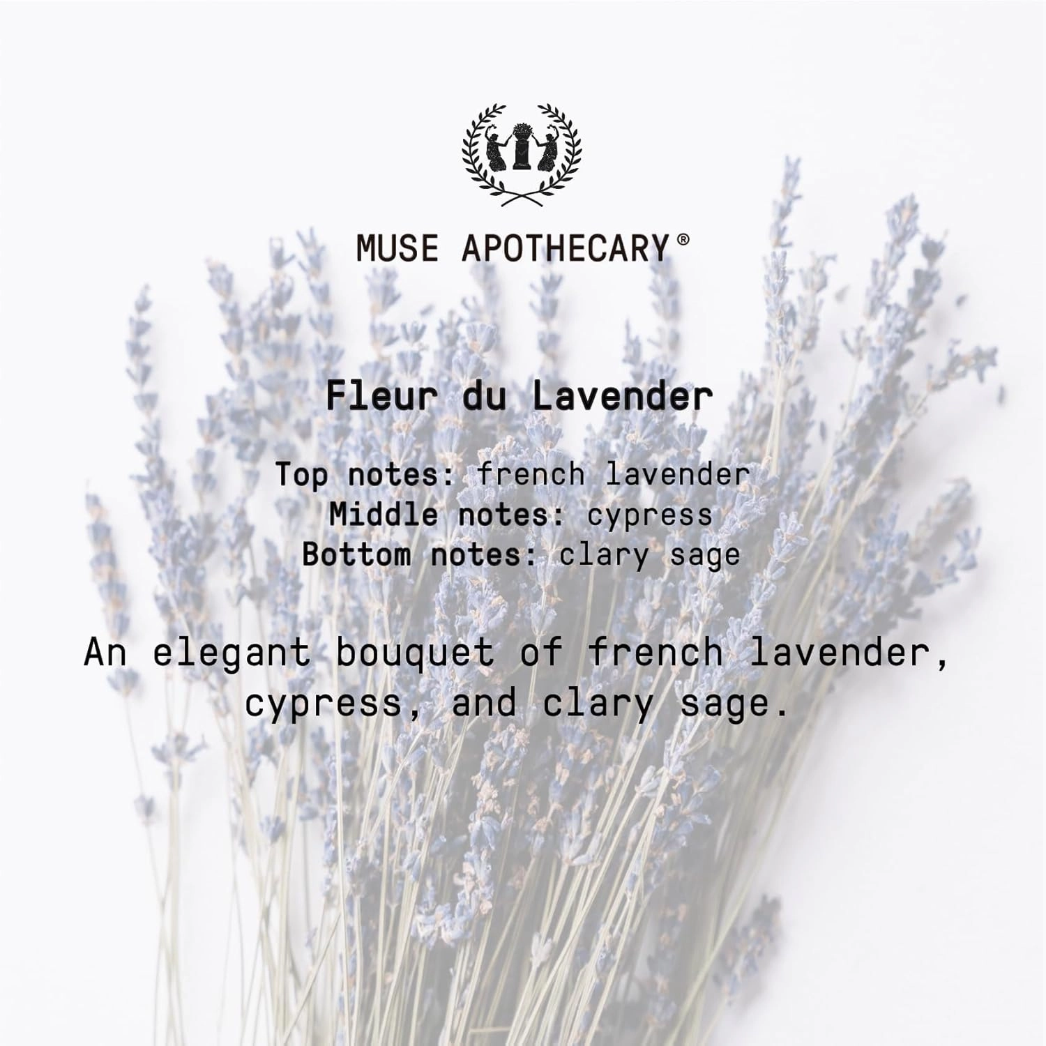 Muse Apothecary Hand Ritual - Aromatic and Nourishing Foaming Hand Soap, Infused with Natural Aromatherapy Essential Oils - USDA Certified Biobased - 11.5 oz, Fleur du Lavender, Pack of 2
