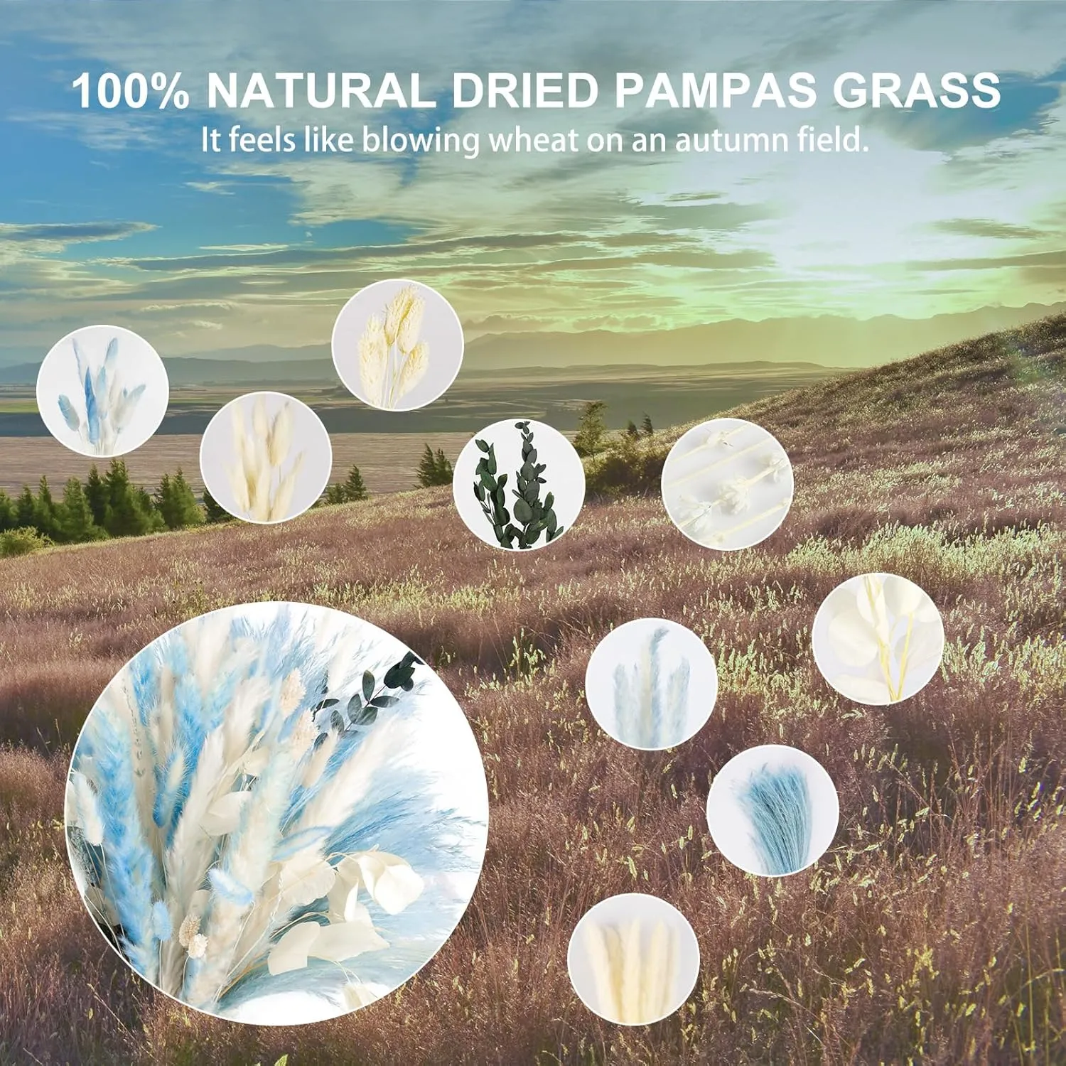 N&T Netting 101Pcs Natural Dried Pampas Grass Blue & Light Blue; Boho Home Decor Floral Pampas Grass for Home, Wedding & Beach Theme