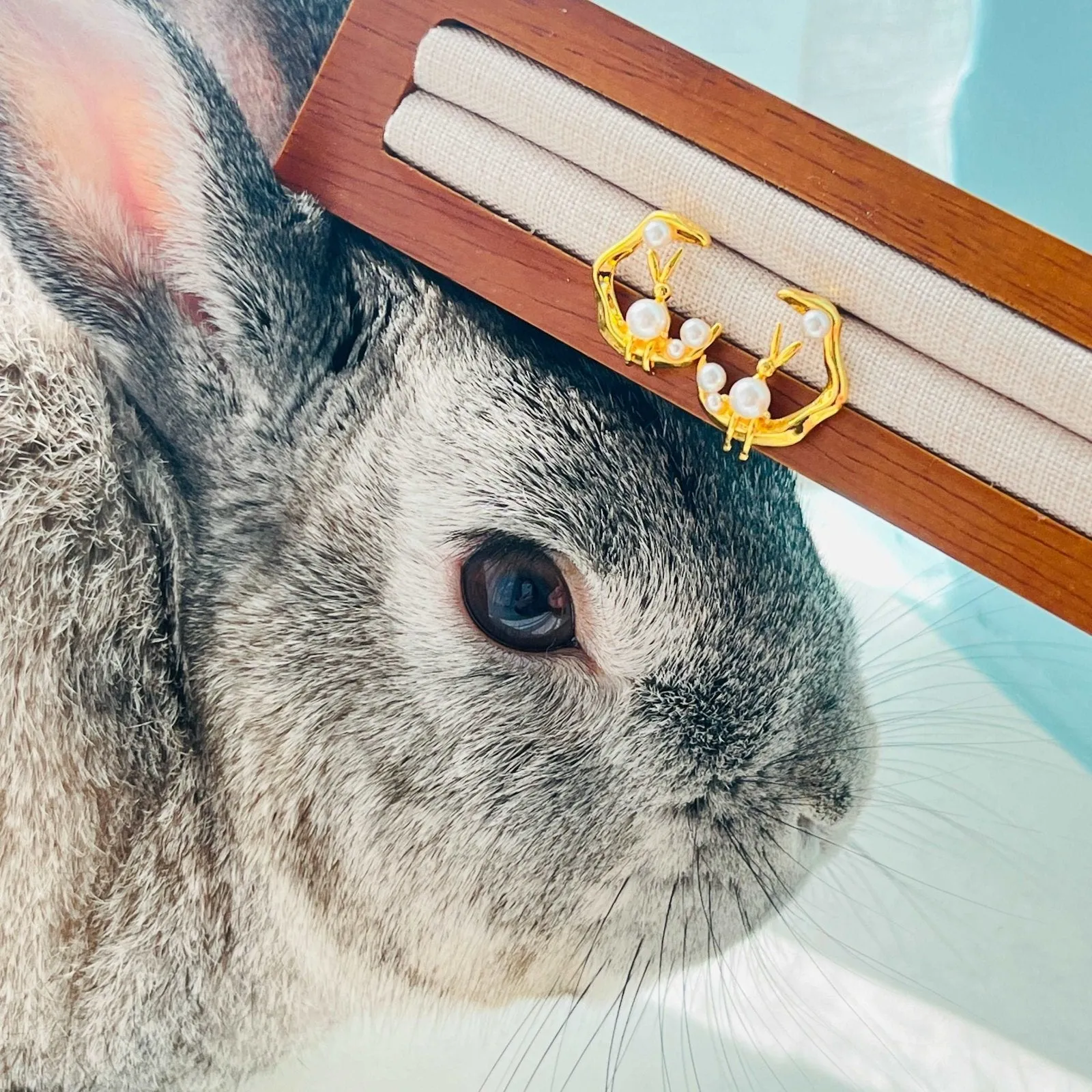 Natural Bunny In The Moon Stud Earrings