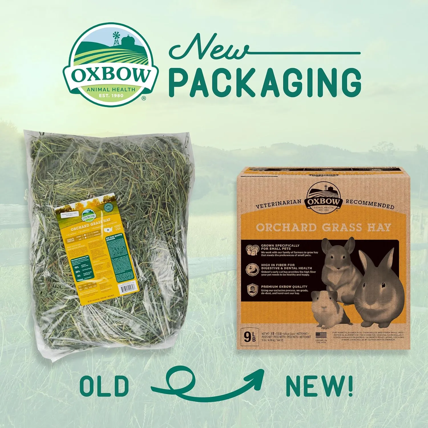 Oxbow Animal Health Orchard Grass, Guinea Pig Hay, Rabbit Hay, Small Pet Bunny Supplies, All Natural Grass for Guinea Pig, Bunny, Chinchilla & Hamster, Oxbow Rabbit Supplies for Bunnies, 9 lb. box