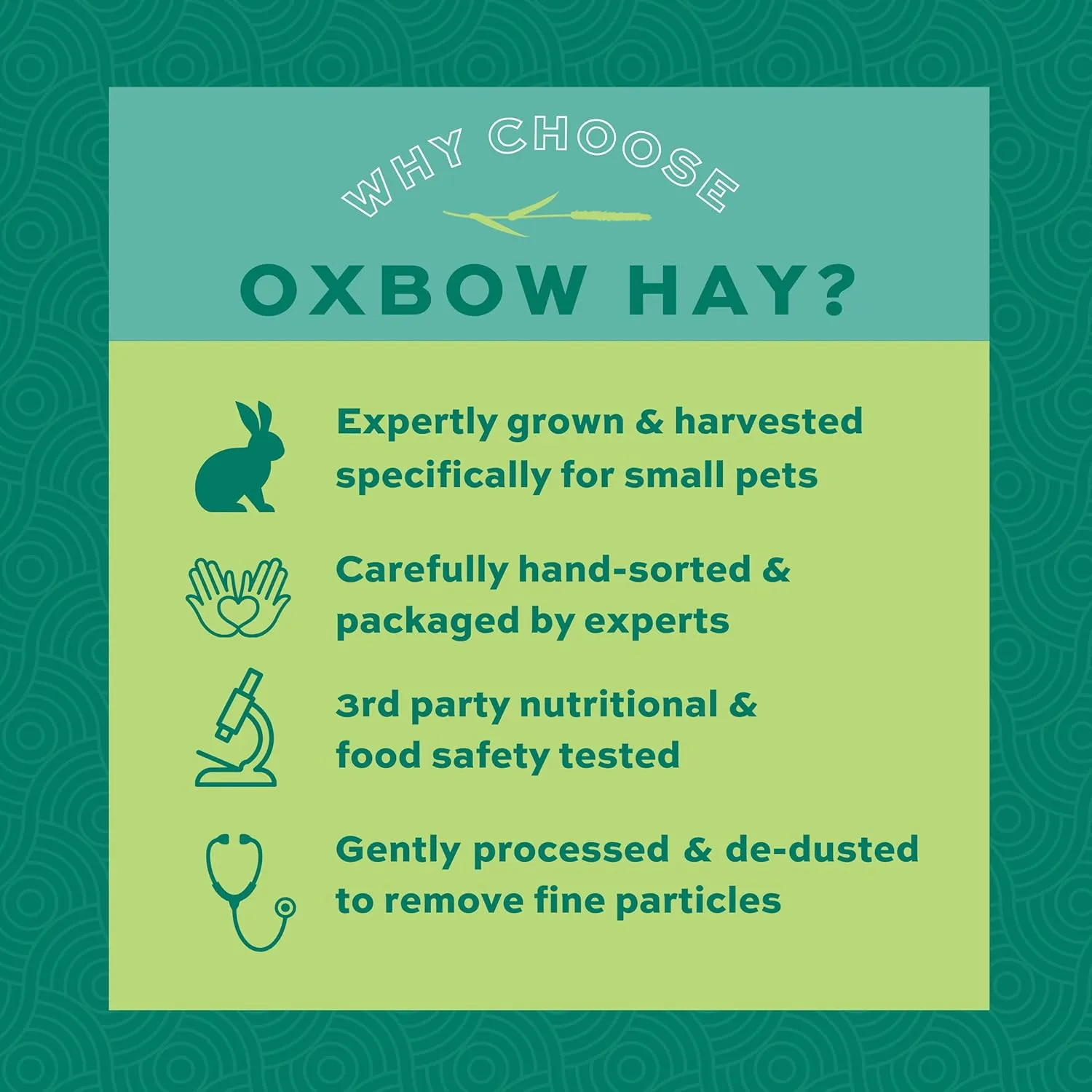 Oxbow Animal Health Orchard Grass, Guinea Pig Hay, Rabbit Hay, Small Pet Bunny Supplies, All Natural Grass for Guinea Pig, Bunny, Chinchilla & Hamster, Oxbow Rabbit Supplies for Bunnies, 9 lb. box