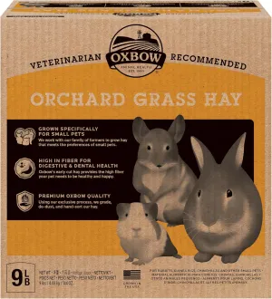 Oxbow Animal Health Orchard Grass, Guinea Pig Hay, Rabbit Hay, Small Pet Bunny Supplies, All Natural Grass for Guinea Pig, Bunny, Chinchilla & Hamster, Oxbow Rabbit Supplies for Bunnies, 9 lb. box