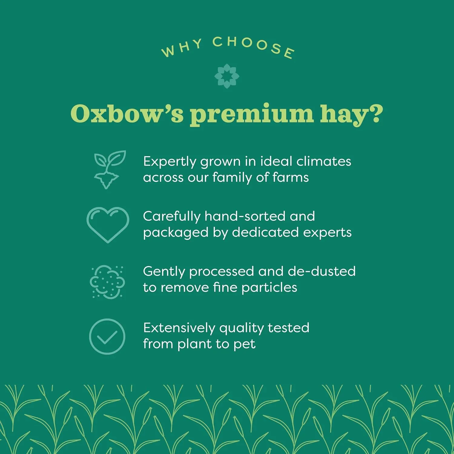 Oxbow Animal Health Western Timothy Hay, Guinea Pig Hay, Small Pet Bunny Supplies, All Natural Grass for Guinea Pig, Bunny, Chinchilla & Hamster, Oxbow Rabbit Supplies for Bunnies, 90 oz. bag