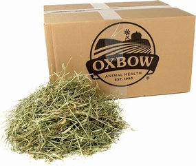 Oxbow Animal Health Western Timothy Hay, Guinea Pig Hay, Small Pet Bunny Supplies, All Natural Grass for Guinea Pig, Bunny, Chinchilla & Hamster, Oxbow Rabbit Supplies for Bunnies, 25 lb box