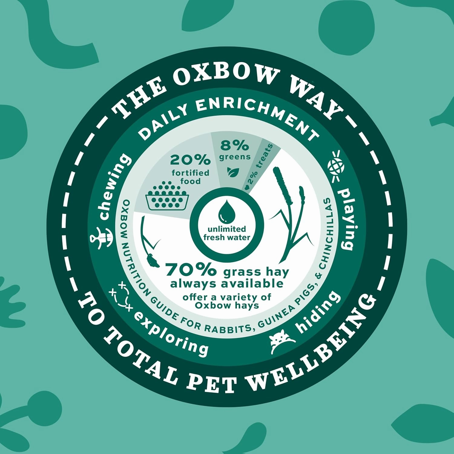 Oxbow Animal Health Western Timothy Hay, Guinea Pig Hay, Small Pet Bunny Supplies, All Natural Grass for Guinea Pig, Bunny, Chinchilla & Hamster, Oxbow Rabbit Supplies for Bunnies, 25 lb box