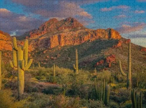 Parent-Child Jigsaw Puzzle 1000 Piece Arizona Wild West Tucson Desert Area Interesting Parent-Child Games Family Entertainment Leisure Fun Interactive Wooden