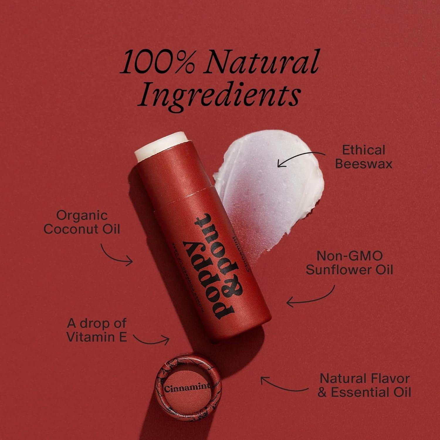 Poppy & Pout Lip Care Set | Lip Balm & Scrub | Sustainable Cardboard Tubes & Glass Jars, All Natural, Beeswax, Coconut Oil, Cruelty Free, Exfoliating & Moisturizing Lip Treatment (Cinnamint)