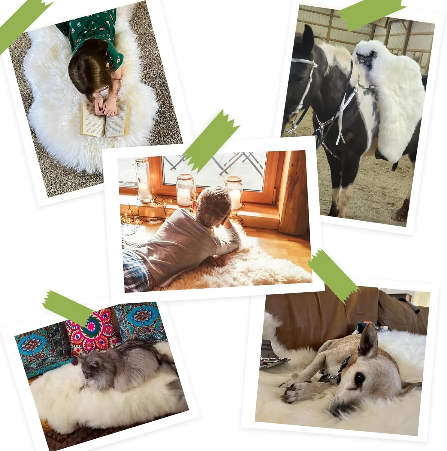 Premium Genuine Sheepskin Rug, Genuine Sheepskin Natural Fluffy Fuzzy Lambskin Fur Area Rug for Kids Bedroom Sofa Chair Seat Cover Pets Dogs Mat Single Pelt/2'x 3' White/Ivory
