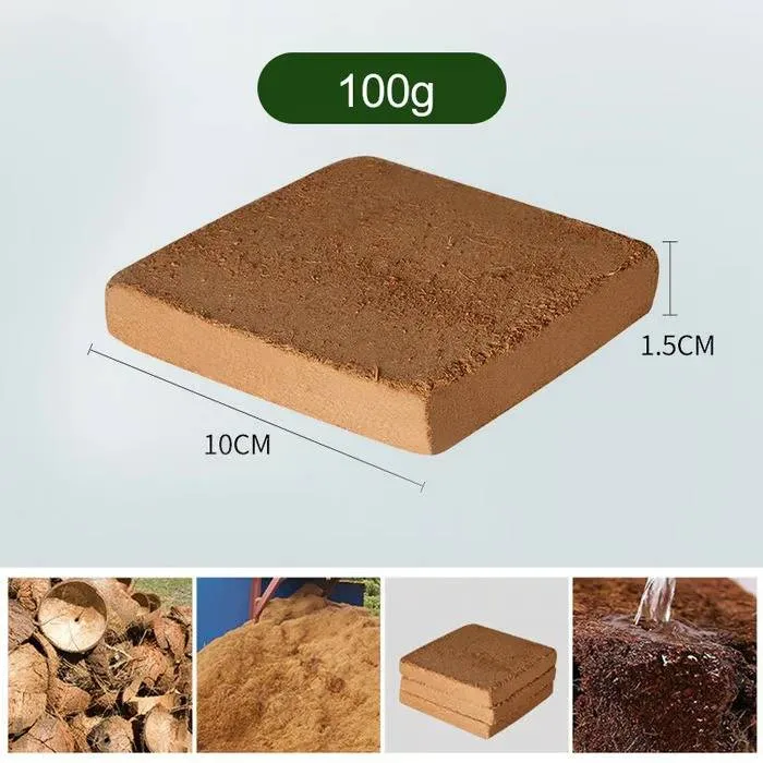 RoyaleGlow Coco Coir Bricks - Organic Growing Medium 6 Pack