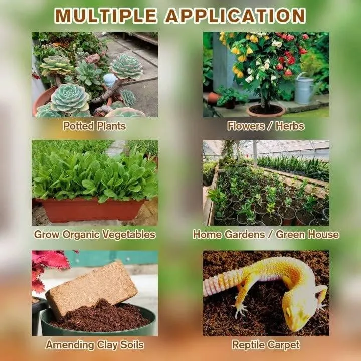 RoyaleGlow Coco Coir Bricks - Organic Growing Medium 6 Pack